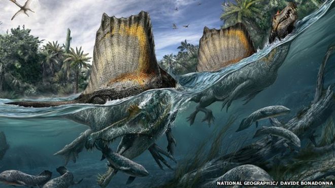 _77498610_spinosaurus_ngm_102014_superjaws_108to110
