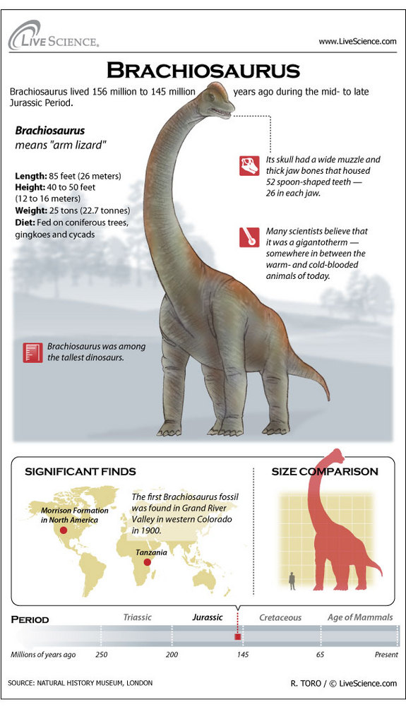 brachiosaurus121127