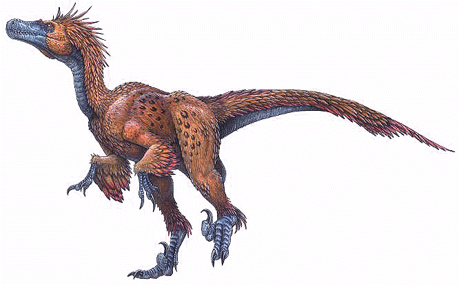 deinonychus_antirrhopus